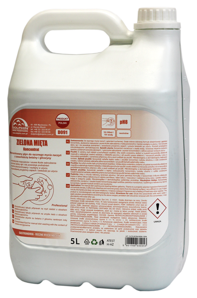 DISH Mint / ZIELONA MIĘTA 5L